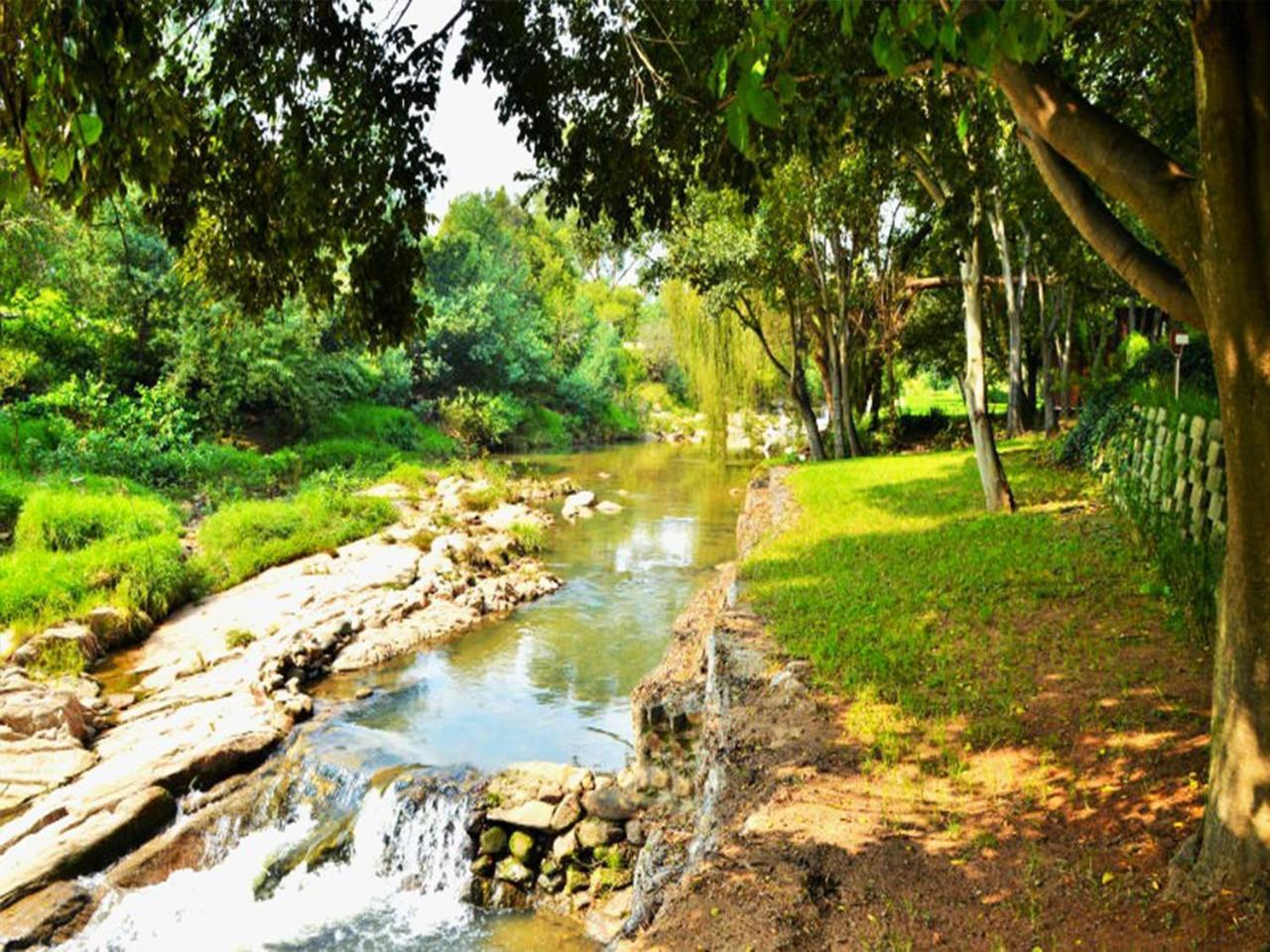 Sand River Guest House Johannesburg Dış mekan fotoğraf